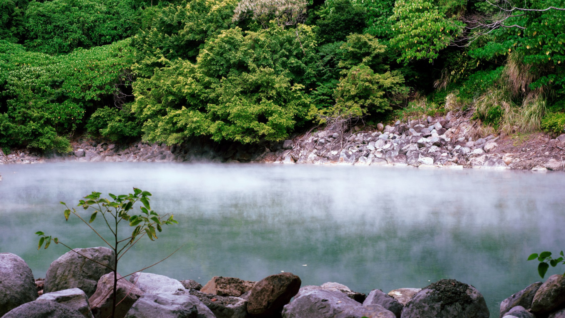 Les onsens au Japon : une immersion au cœur de la culture japonaise